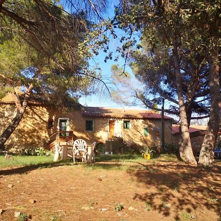 Maison Entiere Hameau Monastir Del Camp Passa Zewnętrze zdjęcie