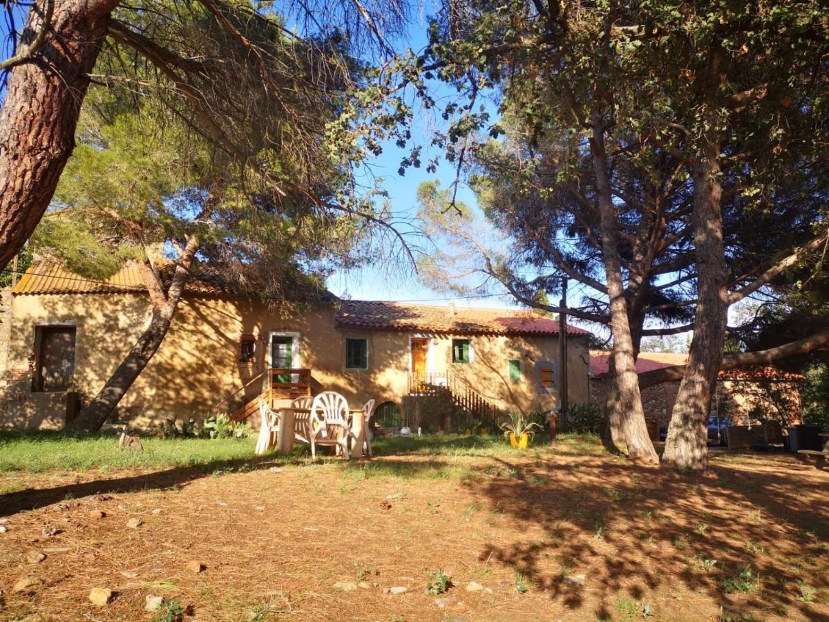 Maison Entiere Hameau Monastir Del Camp Passa Zewnętrze zdjęcie